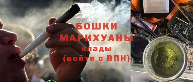 Канабис OG Kush  Майский 